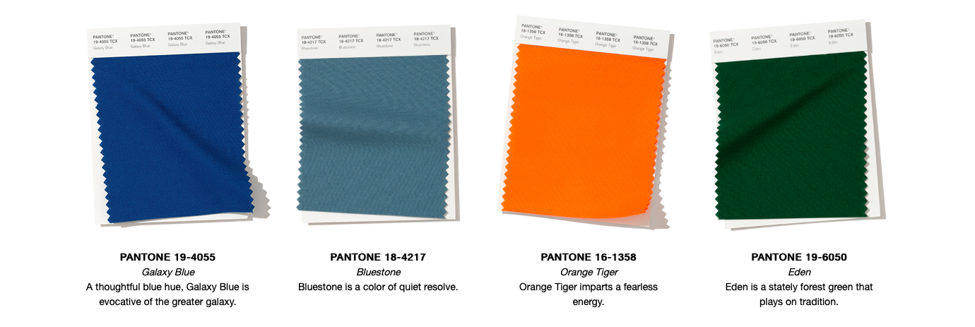 Pantone Orange Tiger  Pantone orange, Pantone colour palettes